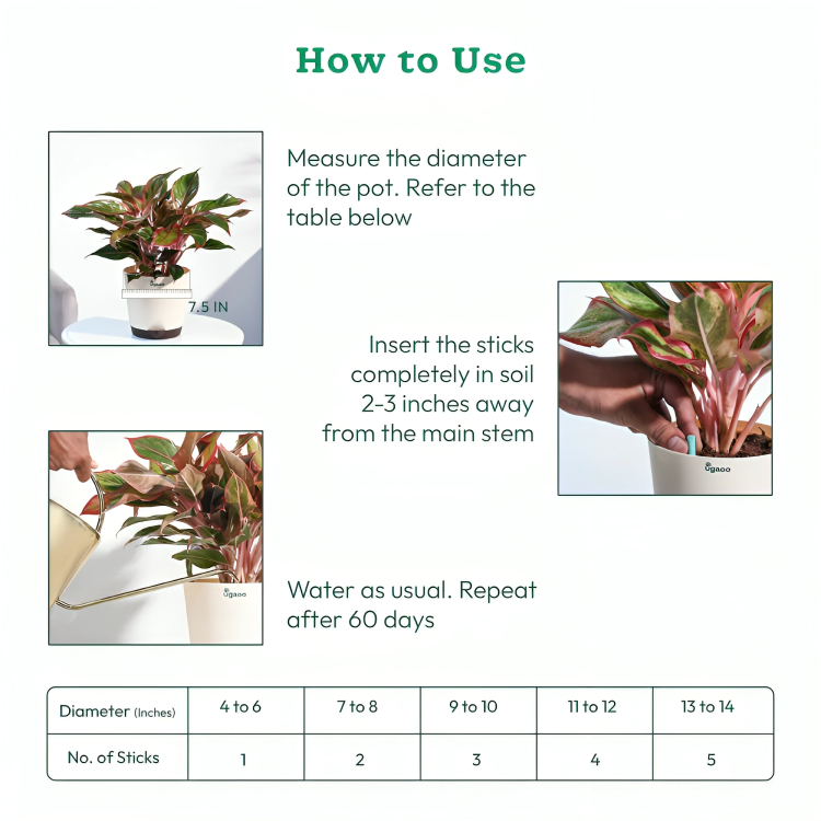 Plant Grow Fertilizer Sticks For Plants - 25 Stick Pack of 2