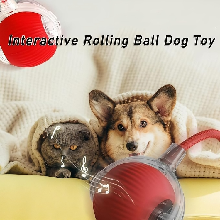 Viral Rolling Ball, Interactive Cat Ball Toy
