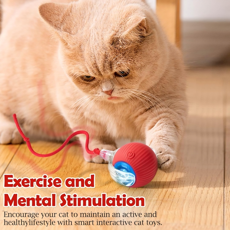 Viral Rolling Ball, Interactive Cat Ball Toy