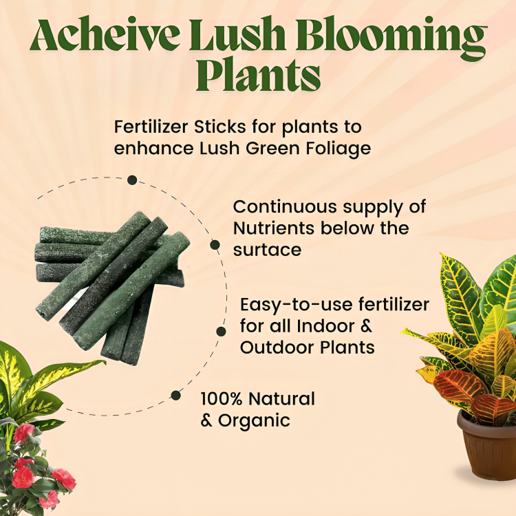 Plant Grow Fertilizer Sticks For Plants - 25 Stick Pack of 2